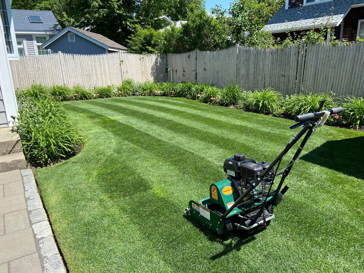 mower on a yard after cutting straight lines