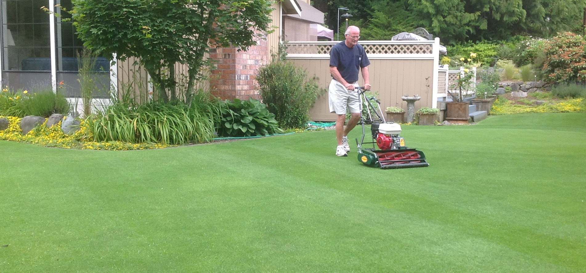 California Trimmer Smooth Roller — Triangle REEL Mowers