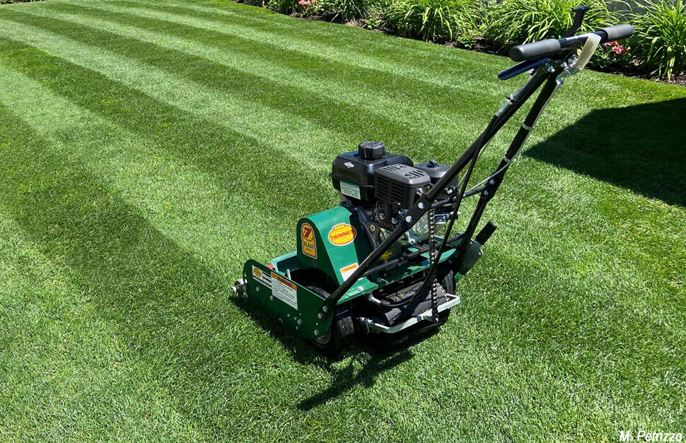 Image of Lawn mower with front roller for edging